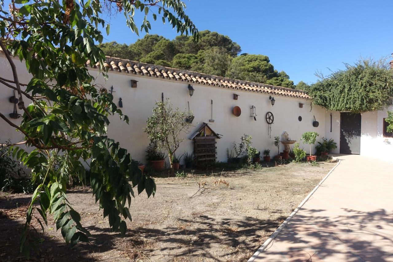Galwey, Tourist Appartments With Wifi Málaga Kültér fotó
