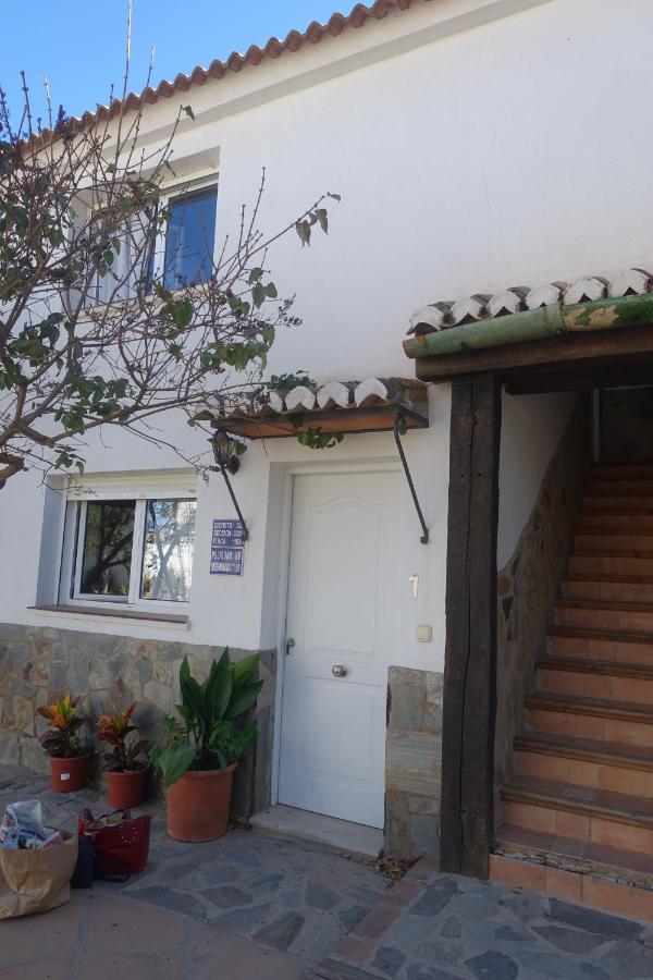 Galwey, Tourist Appartments With Wifi Málaga Kültér fotó