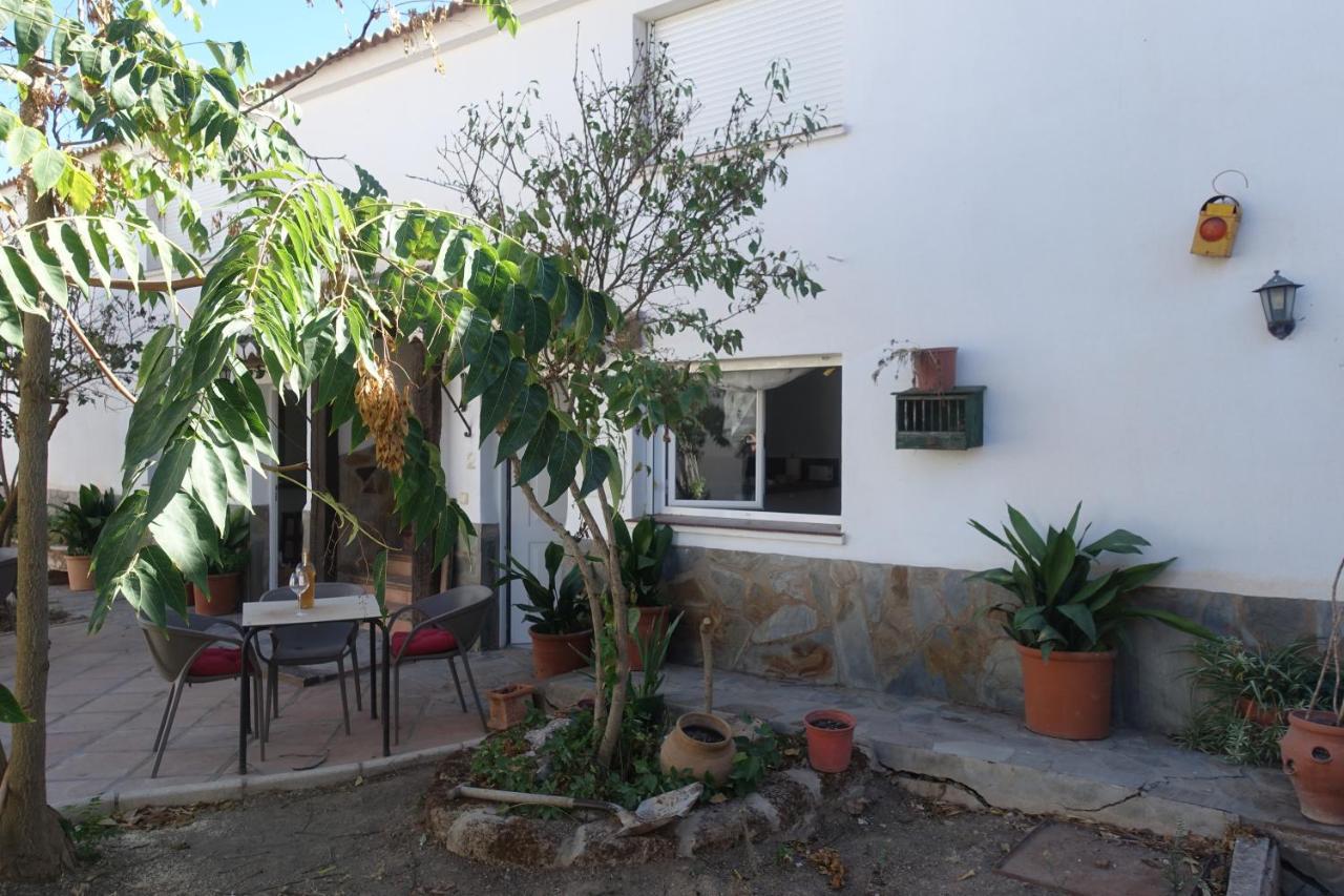 Galwey, Tourist Appartments With Wifi Málaga Kültér fotó
